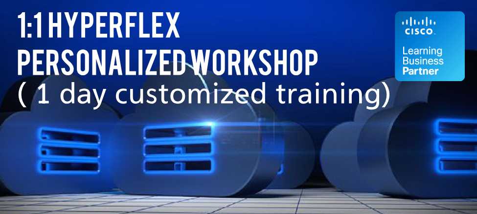 1:1 Hyperflex Personalized Workshop (1 day customized training)