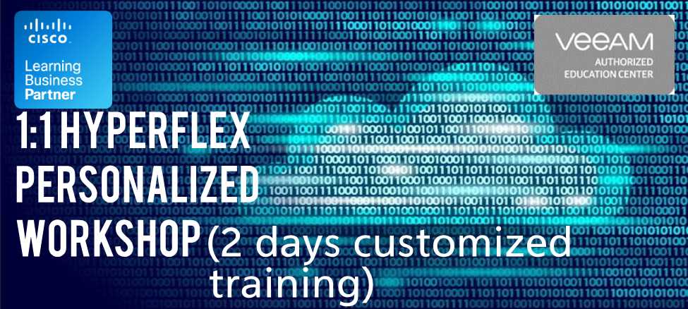 1:1 Hyperflex Personalized Workshop (2 day customized training)